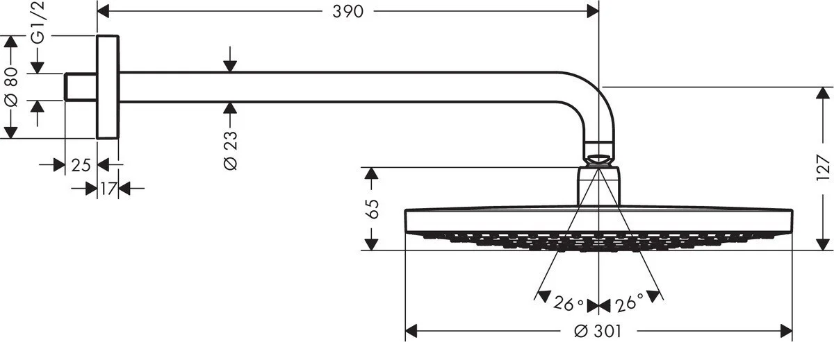 Верхний душ hansgrohe Raindance Select S 300 - миниатюра 3