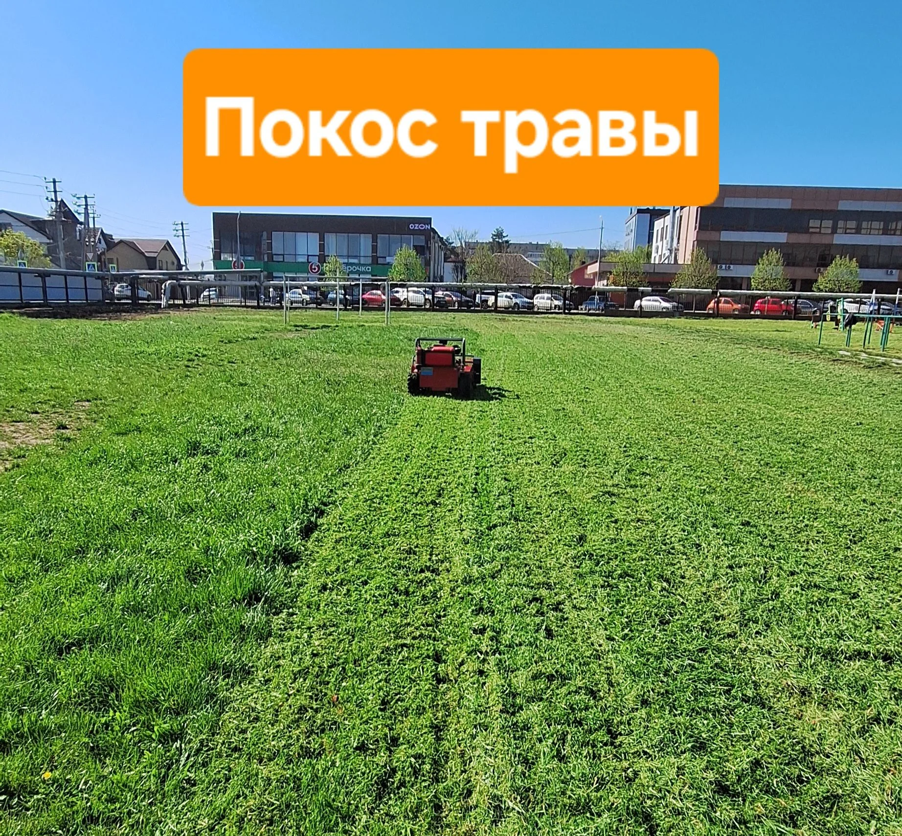 Покос травы мульчером - изображение 1