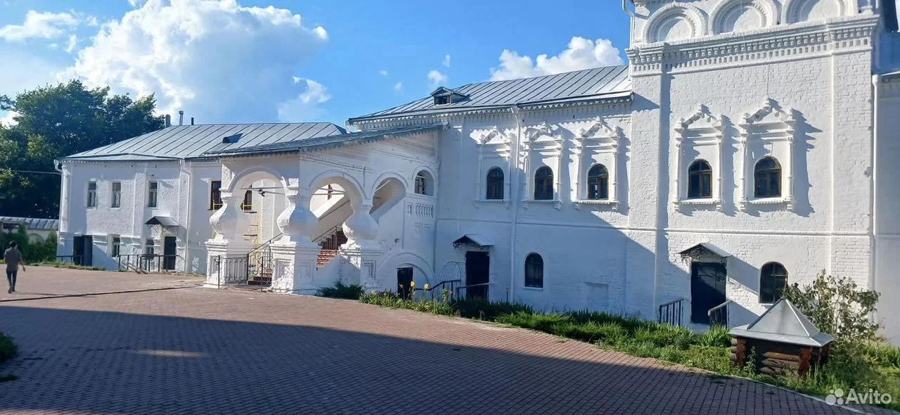 Профессиональная покраска крыш и домов - миниатюра 2