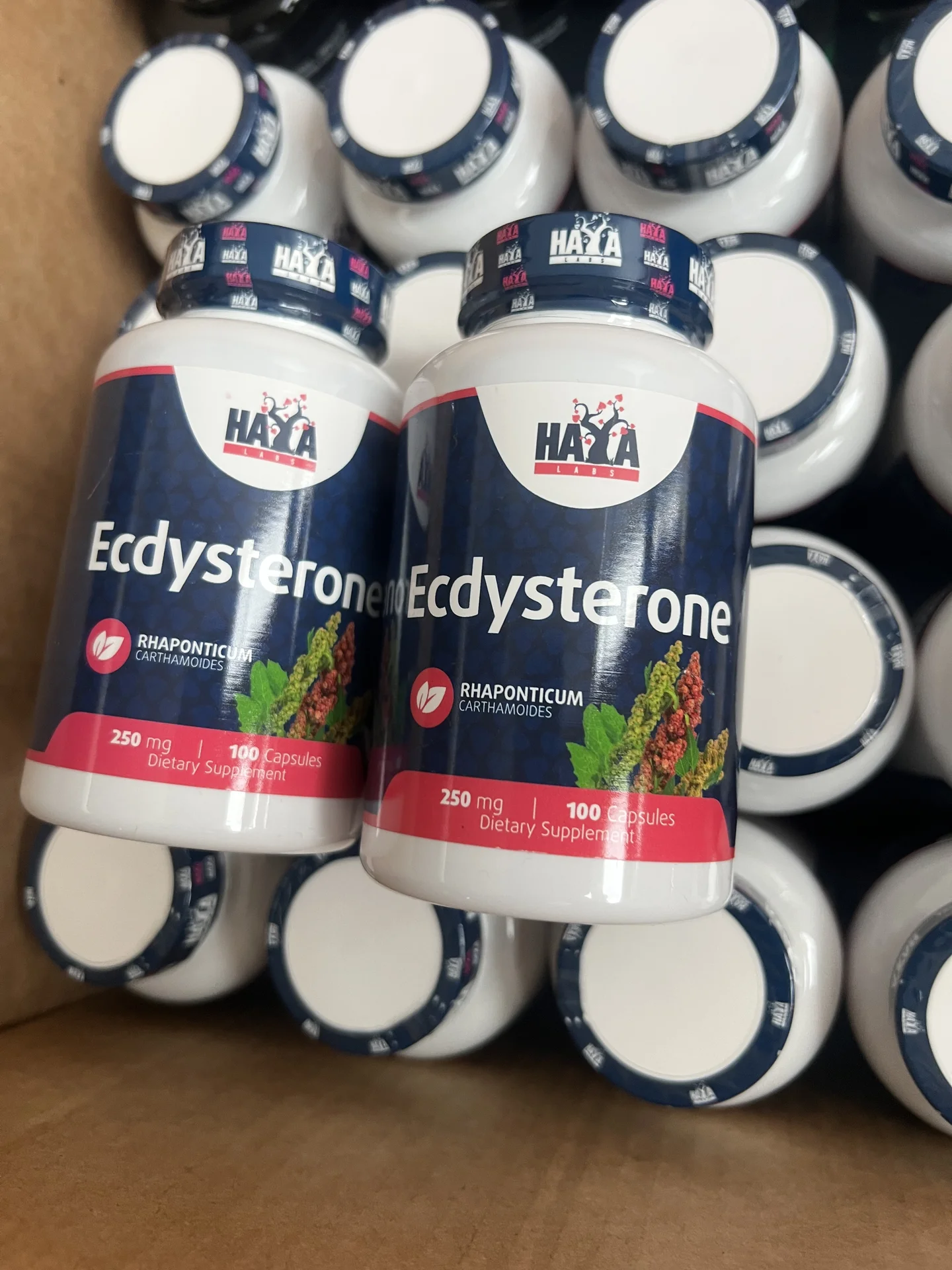 Экдистерон haya labs Ecdysterone 250mg 100 шт - изображение 1