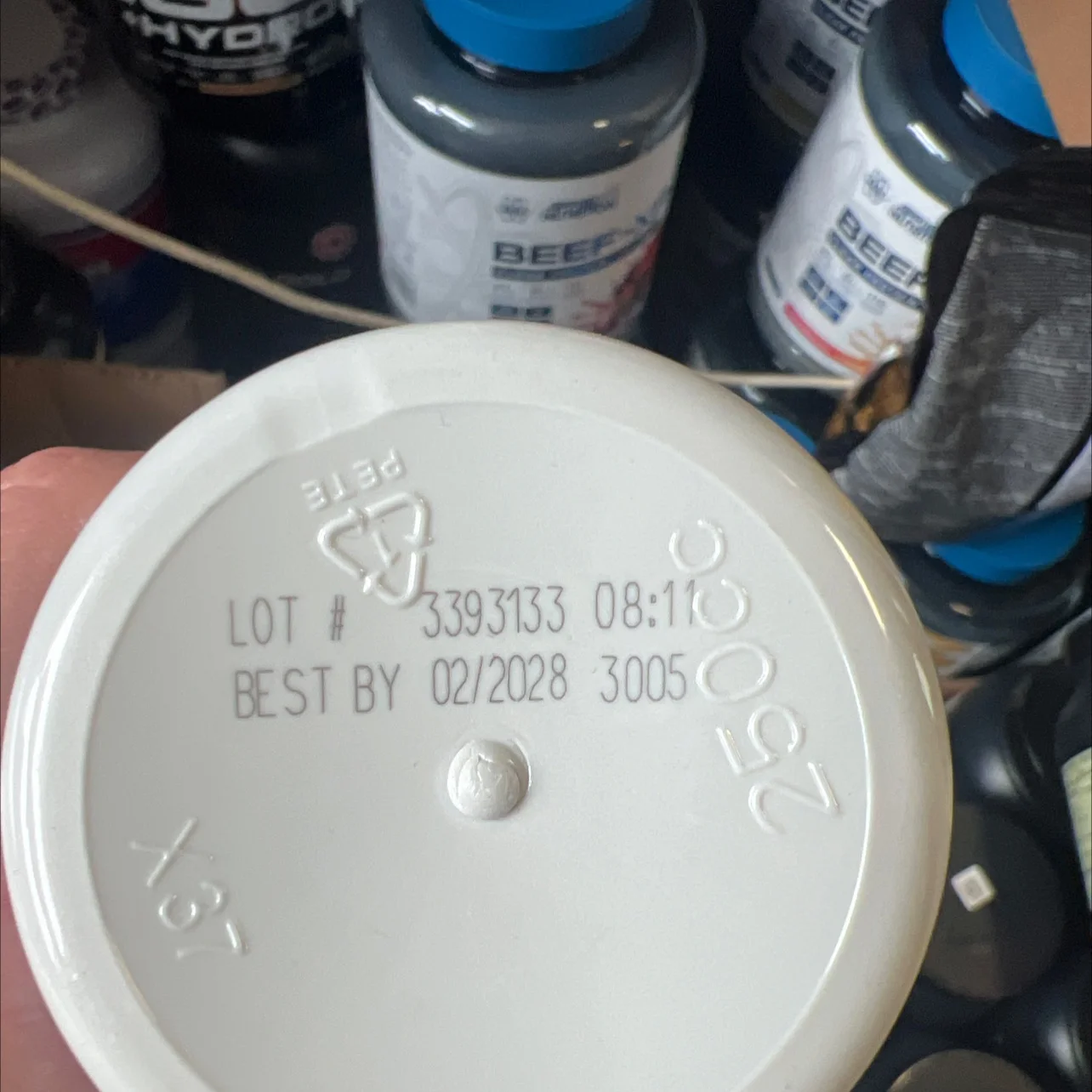 NOW Cordyceps 750 mg 90 Vcaps - миниатюра 2