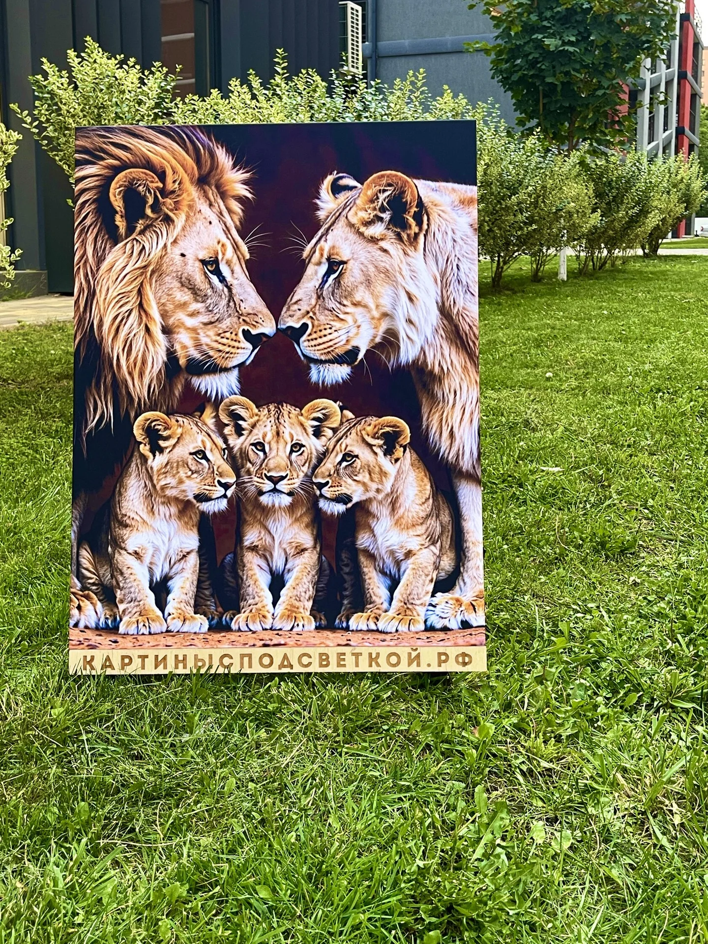 Картина с подсветкой "Прайд" 65x50 см - миниатюра 3