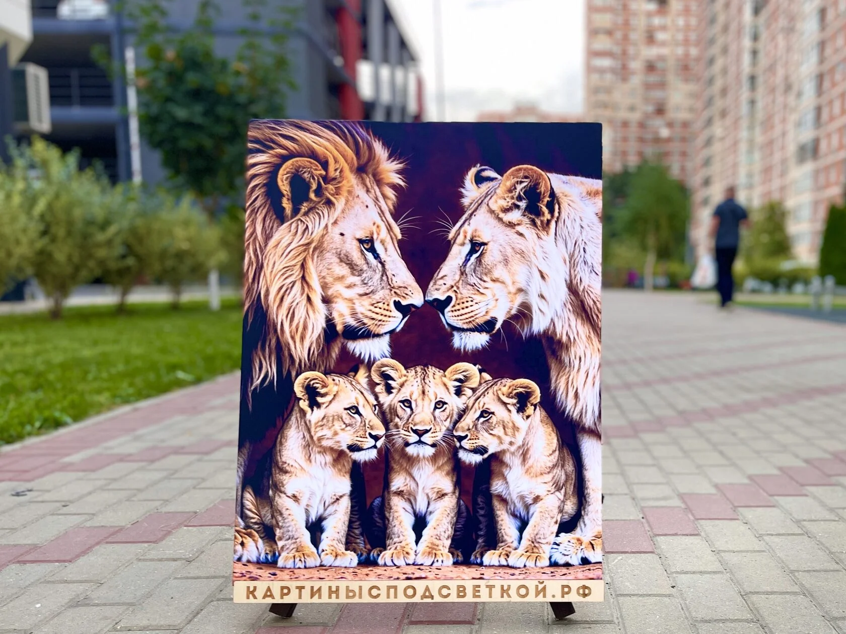 Картина с подсветкой "Прайд" 65x50 см - миниатюра 4