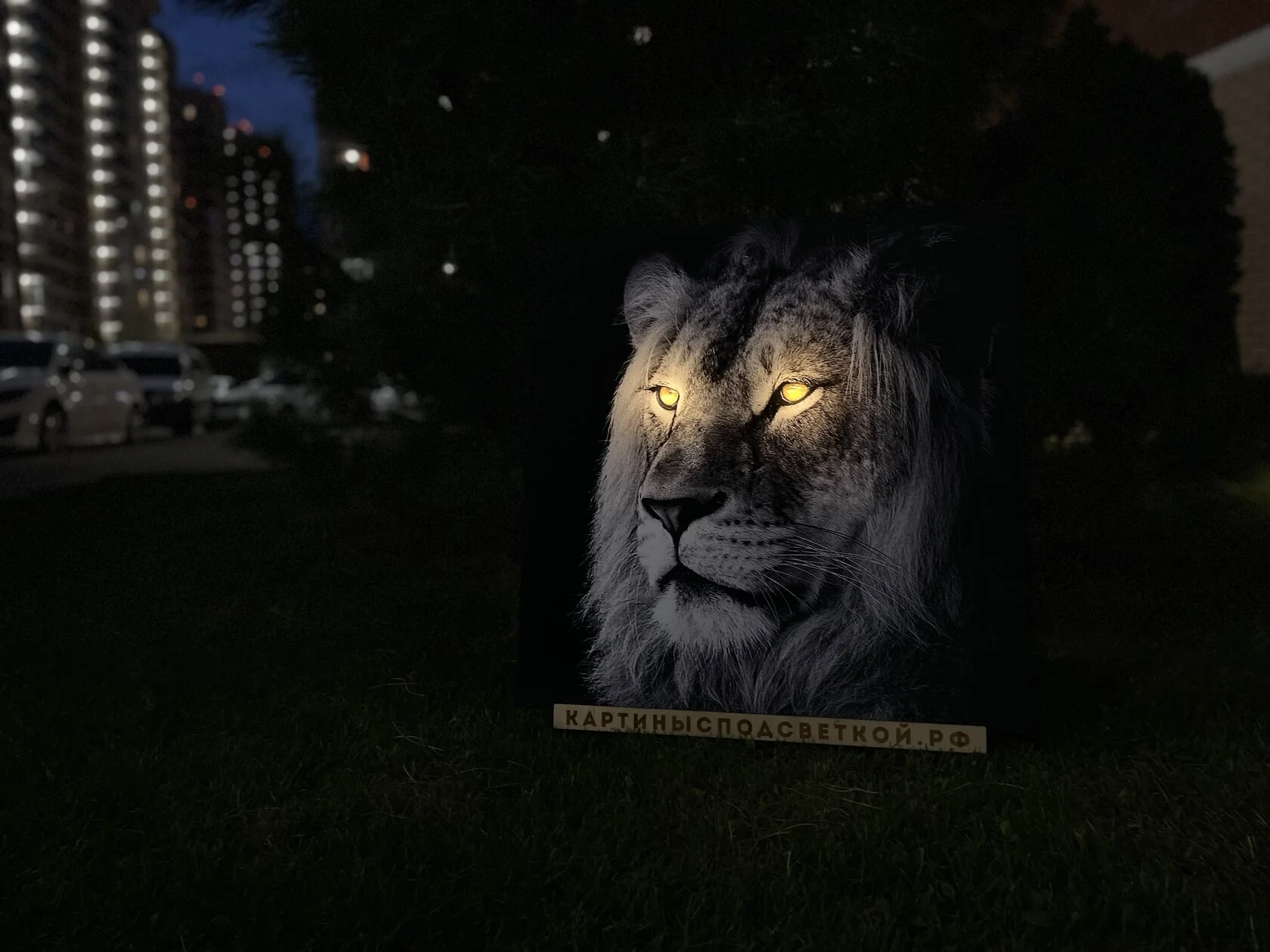 Картина с подсветкой "Царь зверей" 60x60 см - миниатюра 2