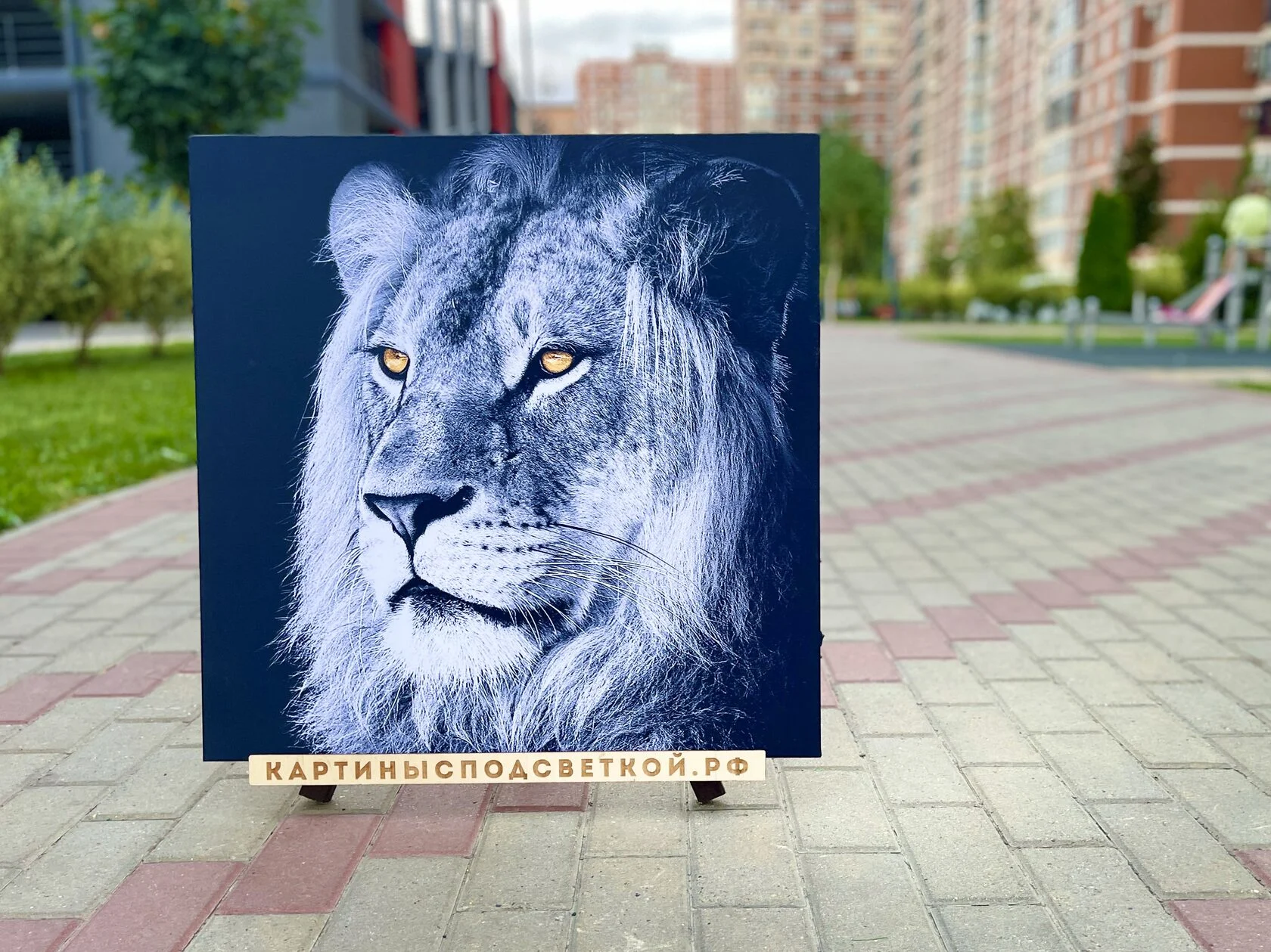 Картина с подсветкой "Царь зверей" 60x60 см - миниатюра 3