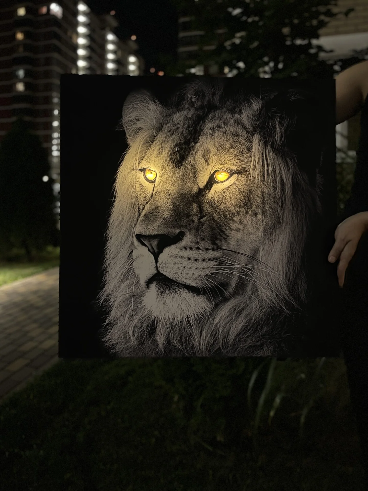 Картина с подсветкой "Царь зверей" 60x60 см - миниатюра 5