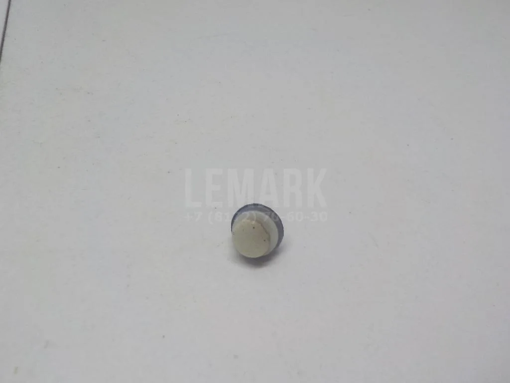 Крепеж (клоп) БАИК (BAIC) U5 Plus 2021- - миниатюра 5