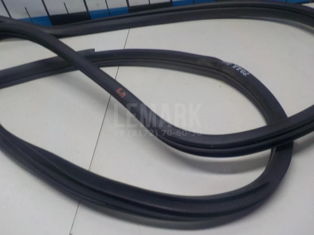 Уплотнитель двери БАИК (BAIC) U5 Plus 2021- - миниатюра 4