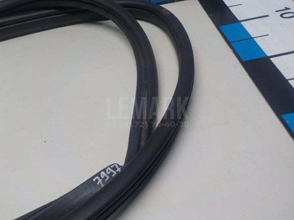 Уплотнитель двери БАИК (BAIC) U5 Plus 2021- - миниатюра 5