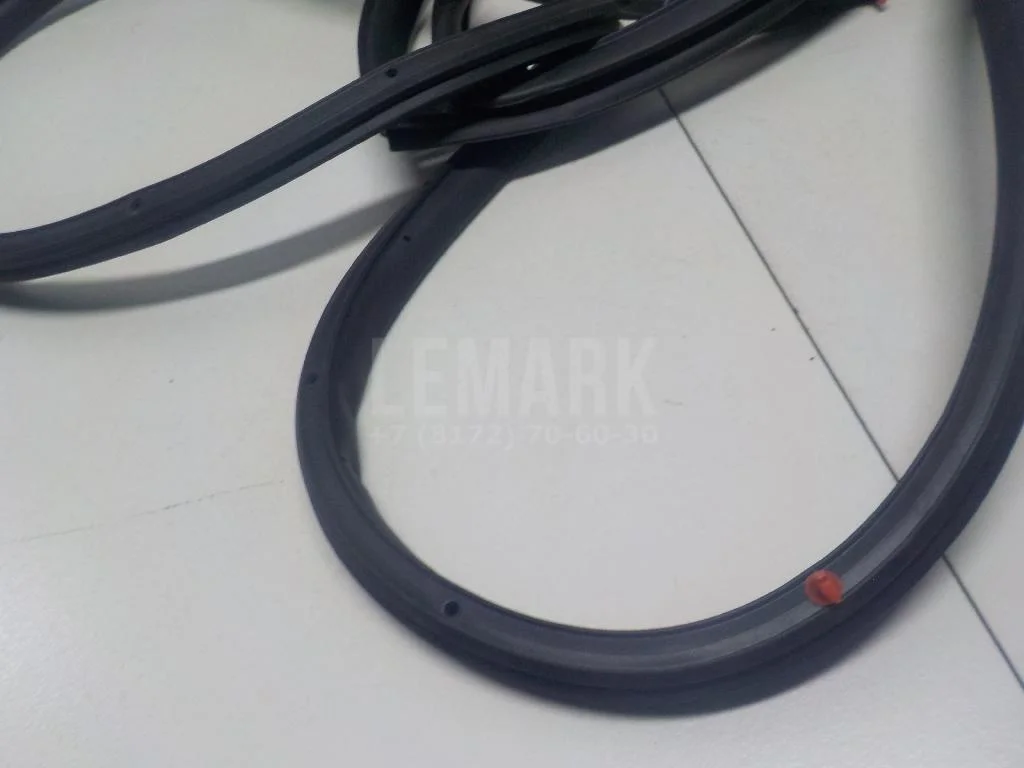 Уплотнитель двери БАИК (BAIC) U5 Plus 2021- - миниатюра 5