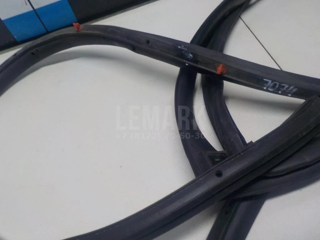 Уплотнитель двери БАИК (BAIC) U5 Plus 2021- - миниатюра 6