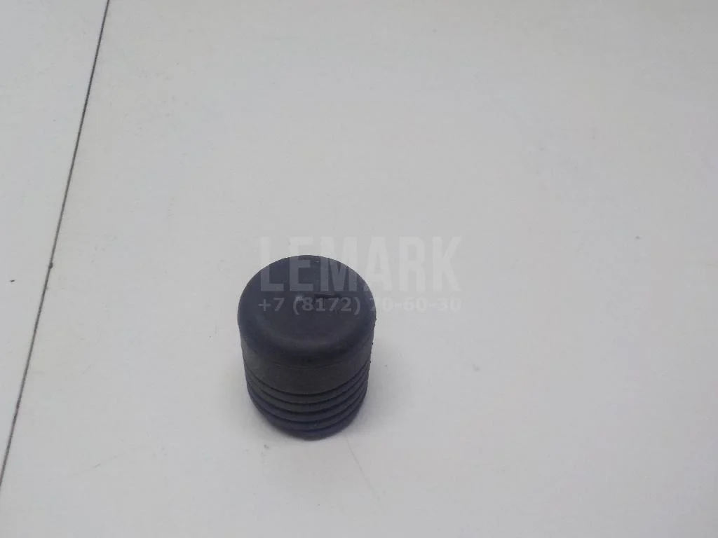 Отбойник капота БАИК (BAIC) U5 Plus 2021- - миниатюра 4