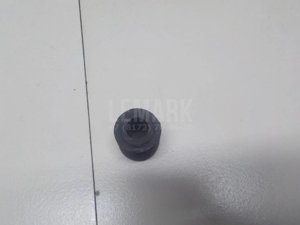 Отбойник капота БАИК (BAIC) U5 Plus 2021- - миниатюра 5
