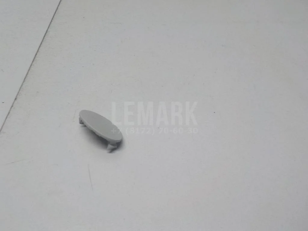 Заглушка БАИК (BAIC) U5 Plus 2021- - миниатюра 5