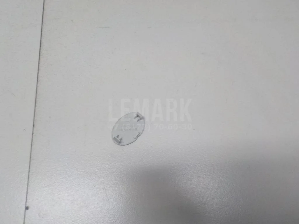 Заглушка БАИК (BAIC) U5 Plus 2021- - миниатюра 6
