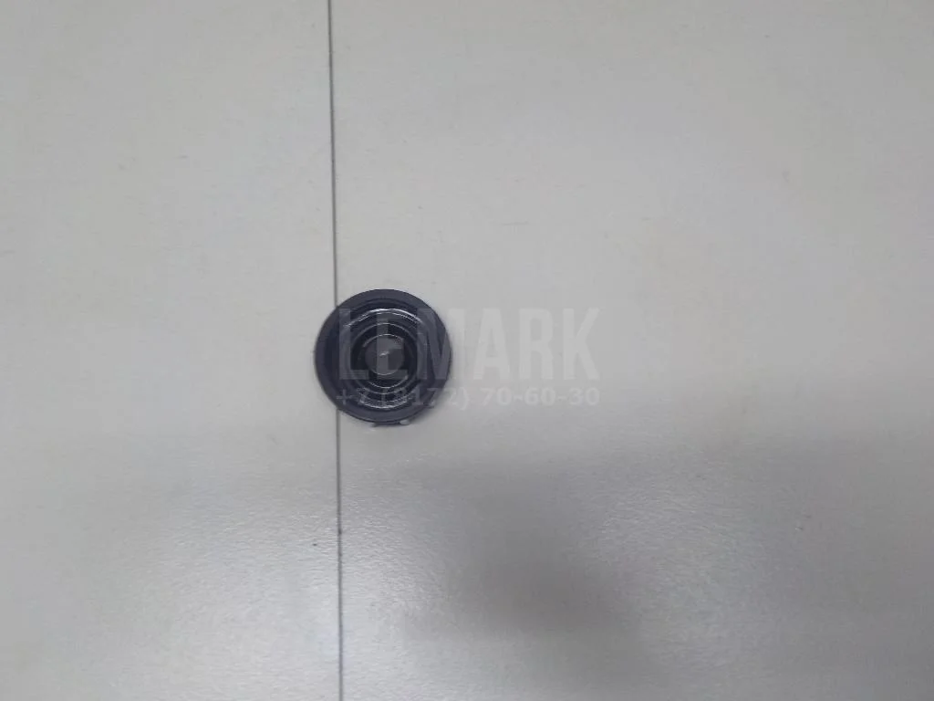 Крышка бачка тормозной жидкости БАИК (BAIC) U5 Plus 2021- - миниатюра 5