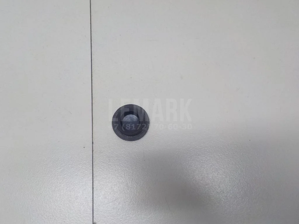 Заглушка БАИК (BAIC) U5 Plus 2021- - миниатюра 5