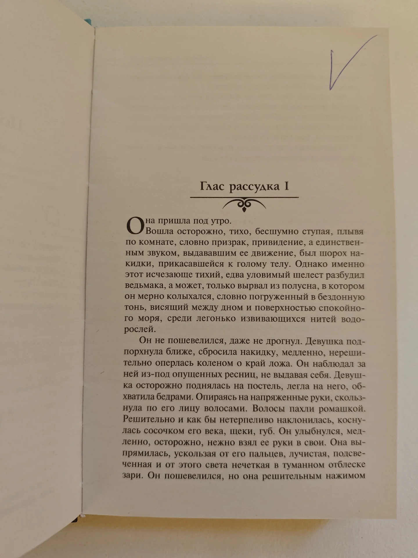 Ведьмак А. Сапковский (2 книги в 1) - миниатюра 6