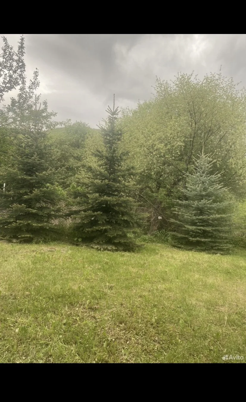 Продам дачу - миниатюра 13