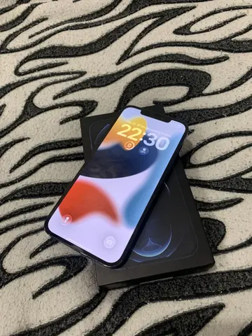 iPhone 12 Pro Max