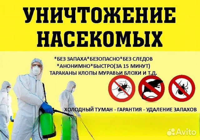 Уничтожение насекомых - миниатюра 4