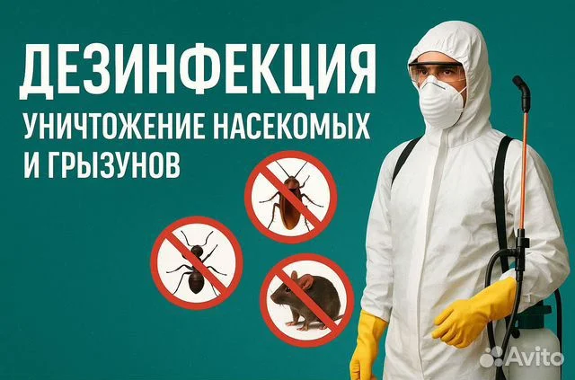 Уничтожение насекомых - миниатюра 5
