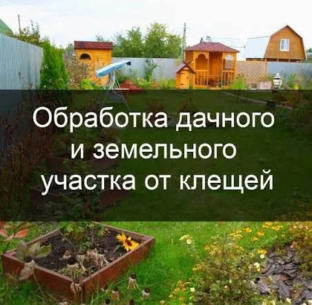 Уничтожение насекомых - миниатюра 8