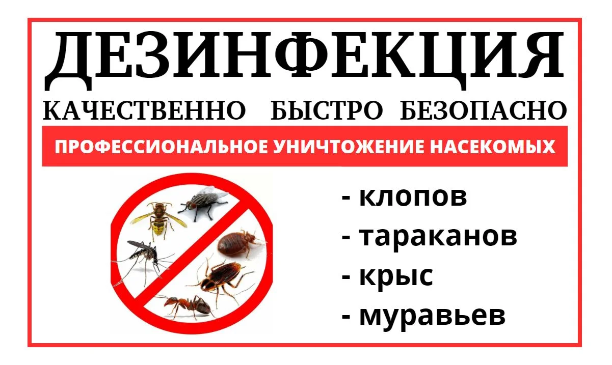 Уничтожение насекомых - миниатюра 9