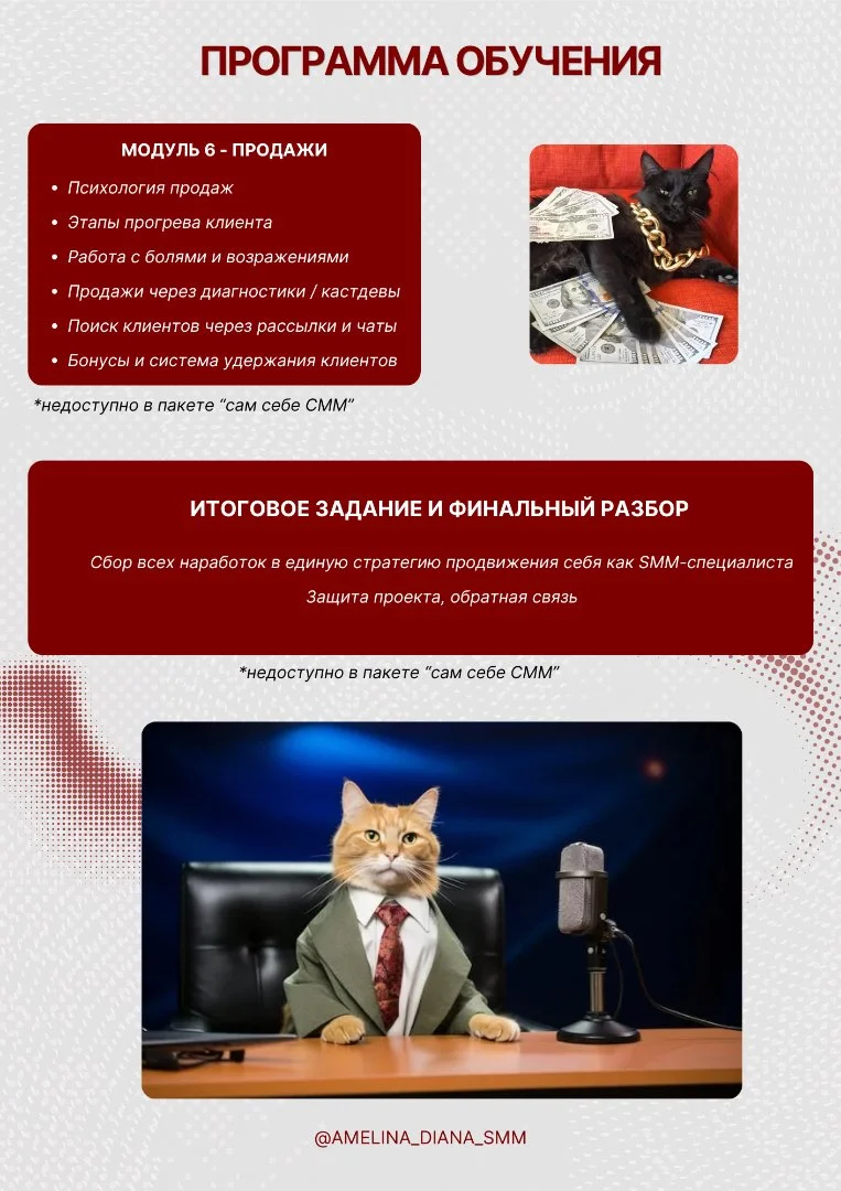 Обучение SMM-специалистов с нуля до результата - миниатюра 8