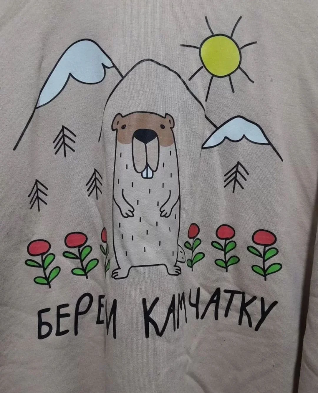 Худи береги камчатку еврашка 4xl - миниатюра 2