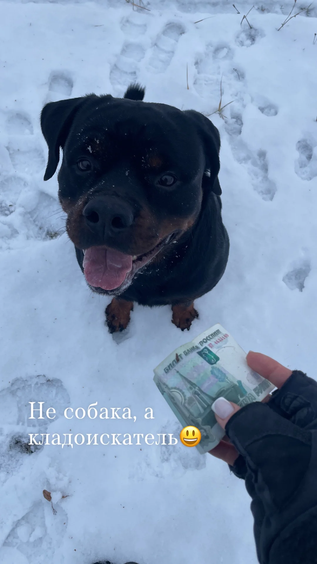 Кинолог - миниатюра 13