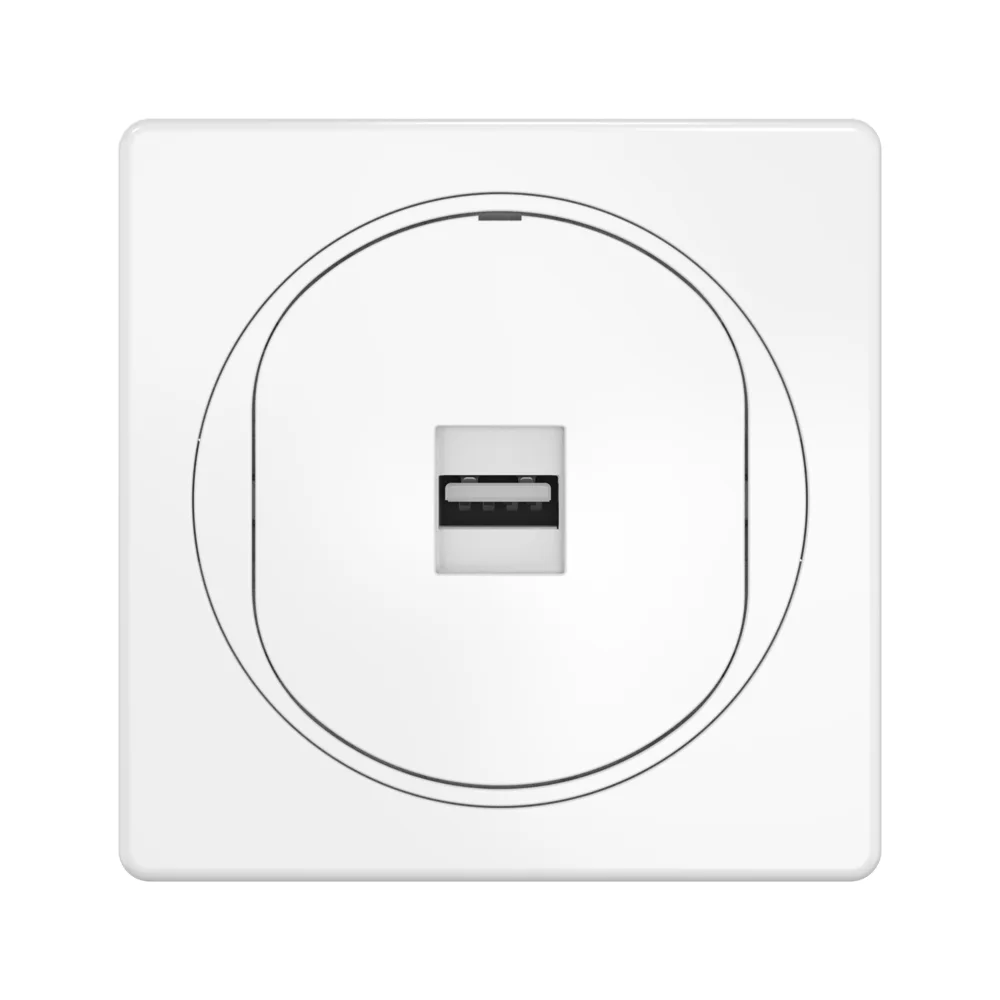 Розетка скрытой установки CADUCEUS ALING EON с модулем Keystone USB 2.0 тип A-A - миниатюра 2