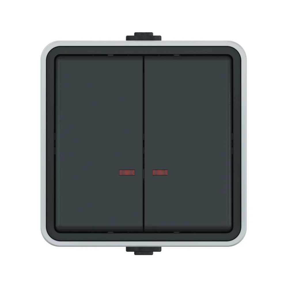 Выключатель двухклавишный CADUCEUS ALING PROTECTA для открытой проводки, с индикацией, 10АХ, 250В~ - миниатюра 2