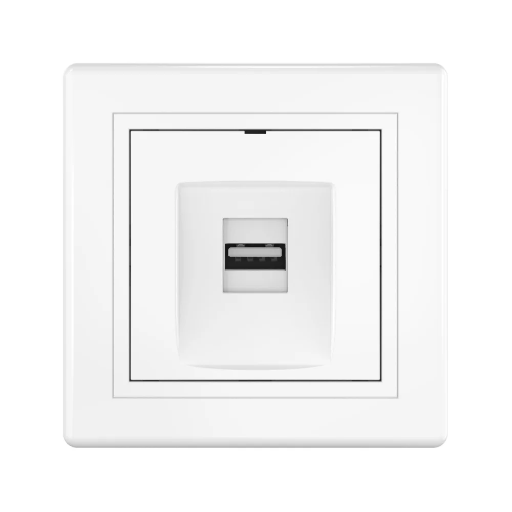 Розетка скрытой установки CADUCEUS ALING PRESTIGE с модулем Keystone USB 2.0 тип А-А, 250В~ - миниатюра 2