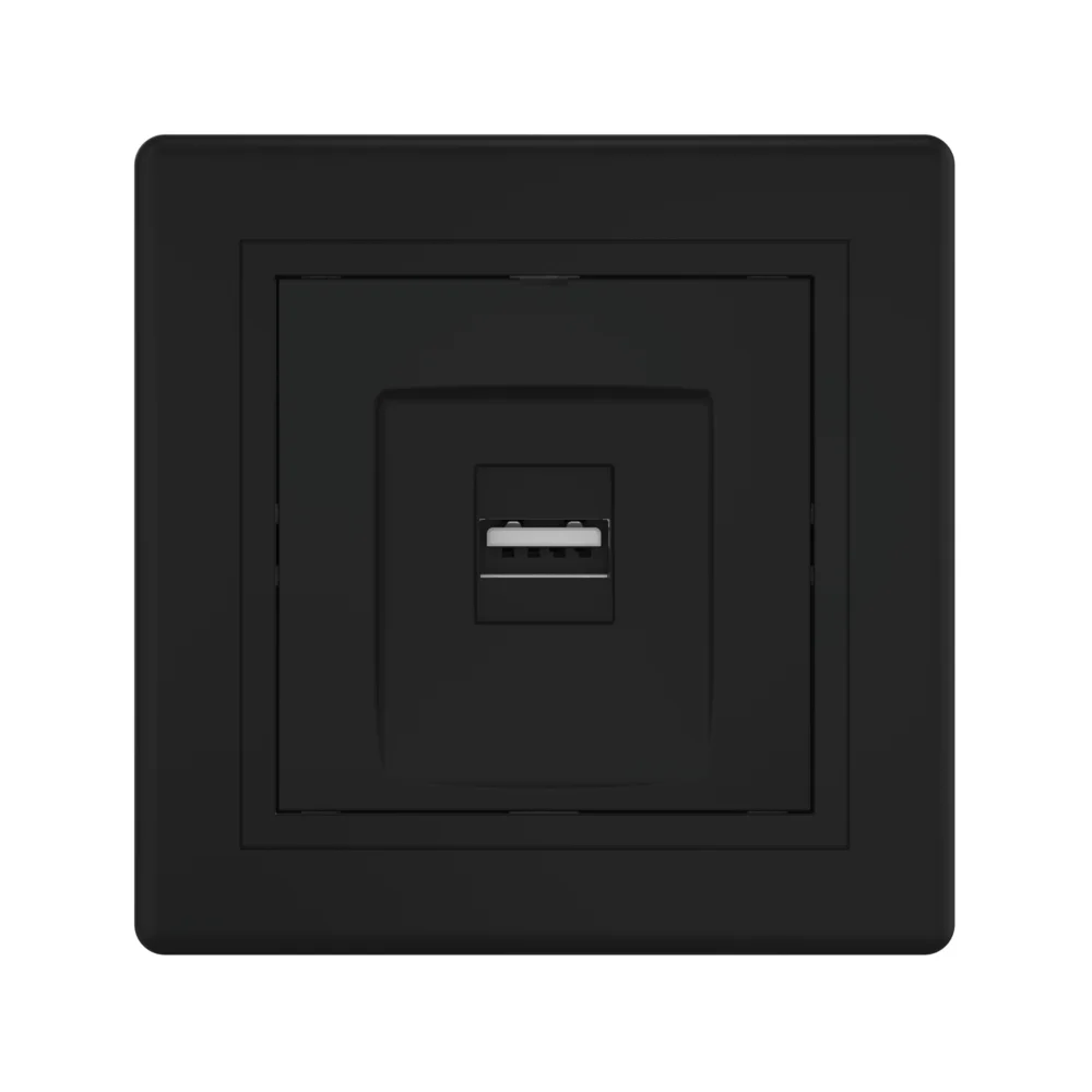 Розетка скрытой установки CADUCEUS ALING PRESTIGE с модулем Keystone USB 2.0 тип А-А, 250В~ - миниатюра 5
