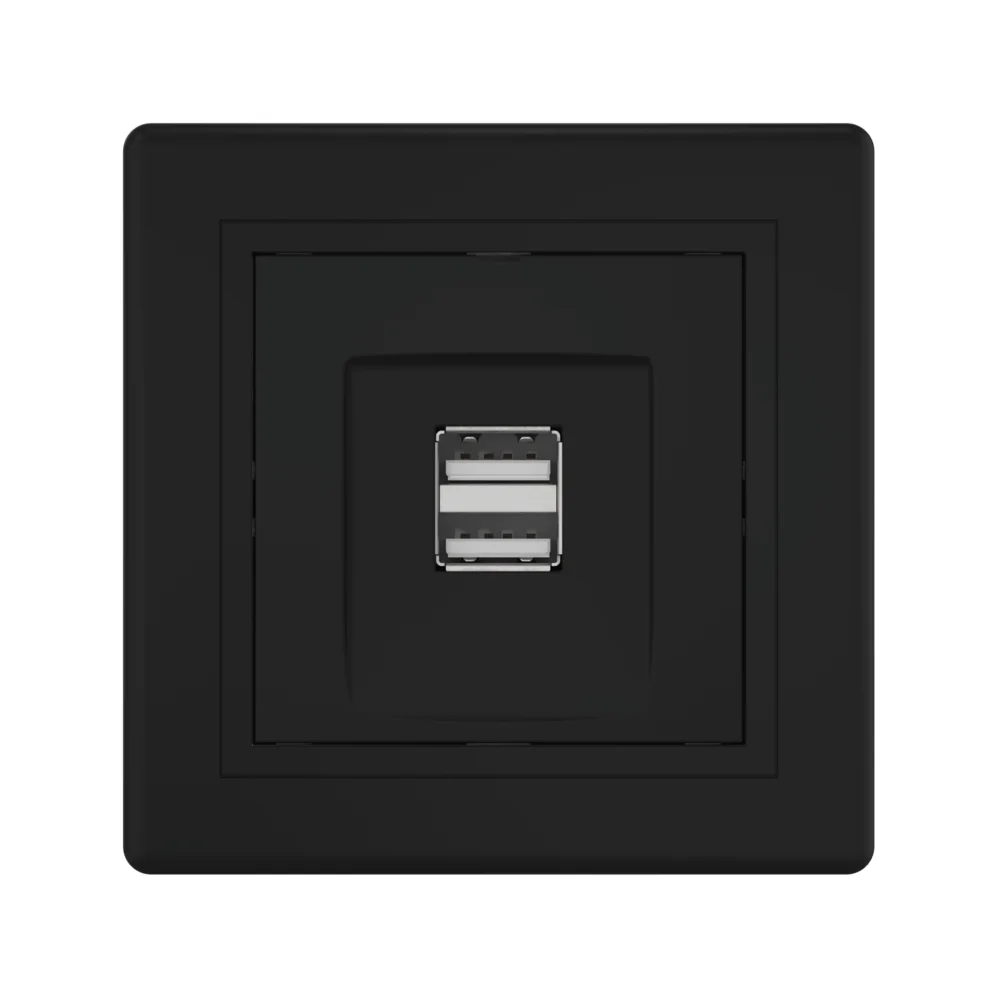 Розетка скрытой установки CADUCEUS ALING PRESTIGE двойная, USB, тип А, для зарядки устройств, 2,1А - миниатюра 10