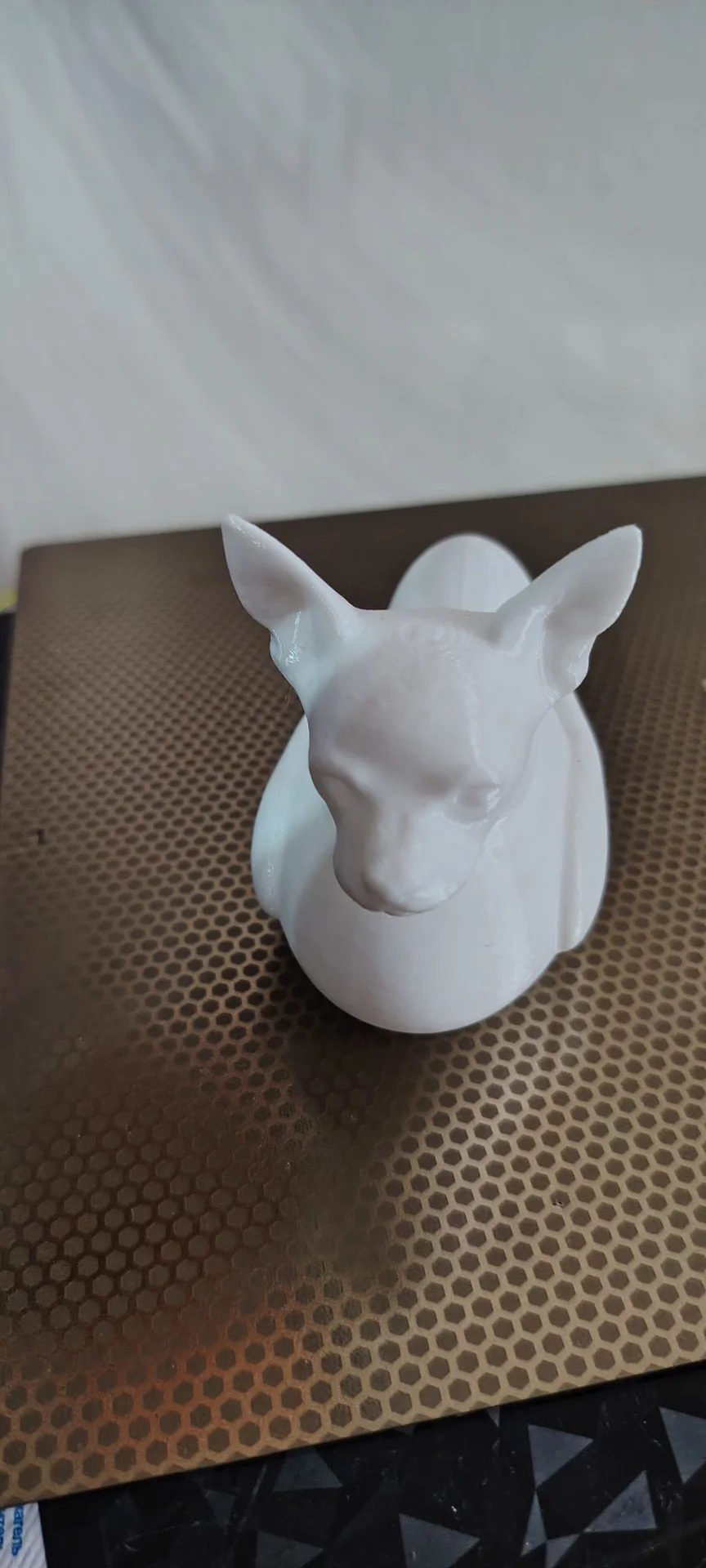 3d принтер FlashForge 5m - миниатюра 16