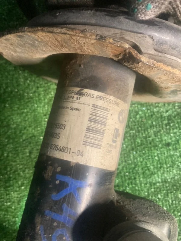 Амортизатор подвески передний BMW X5 E53 M57 306D2 - миниатюра 6