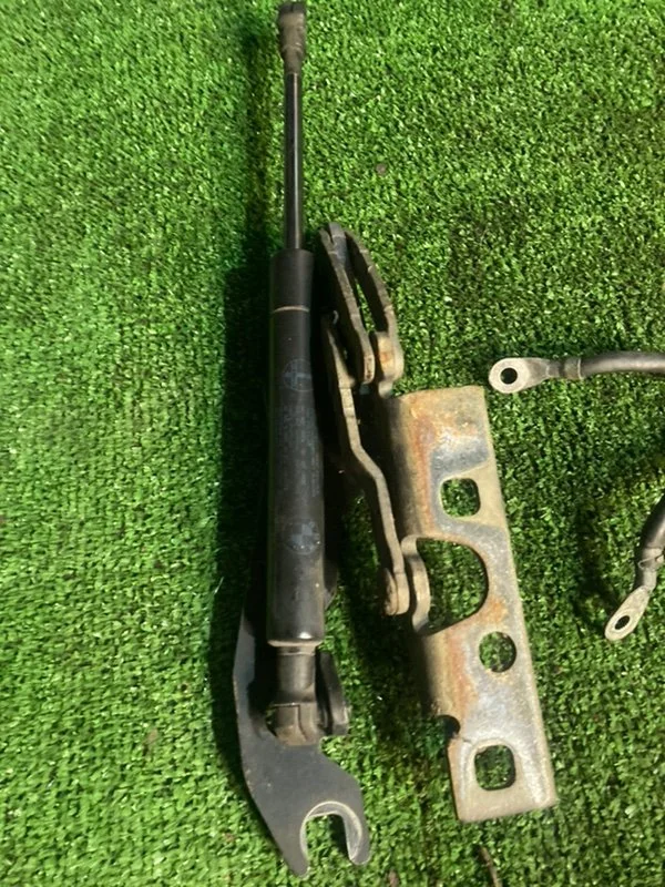 Петли капота BMW X5 E53 M57 306D2 2005 - миниатюра 2