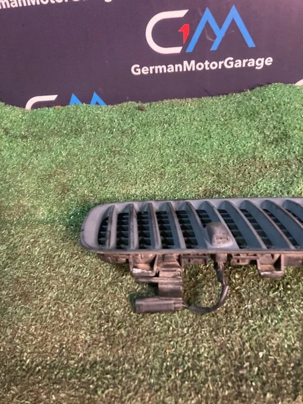 Решетка капота правая BMW X5 E53 M57 306D2 2005 - миниатюра 2