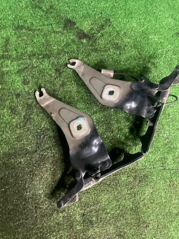 Петли капота BMW X6M E71 S63 2010 - миниатюра 4