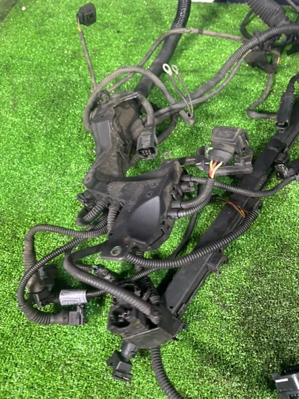 Проводка моторная BMW X5 E53 M54B30 306S3 2001 - миниатюра 5