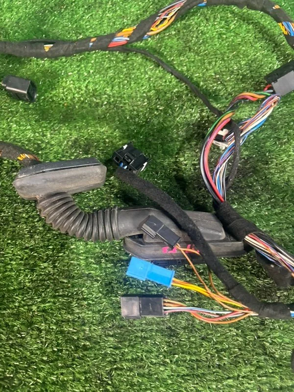 Проводка двери передняя BMW X5 E53 M54B30 306S3 - миниатюра 6