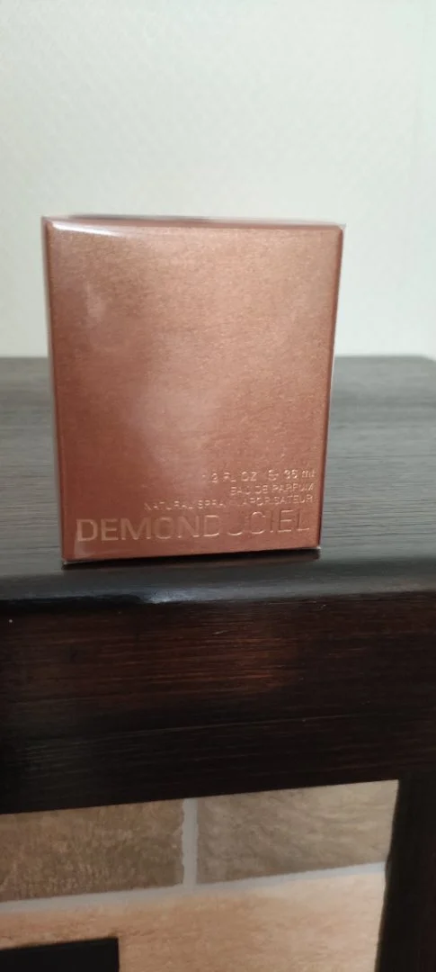 Demon du Ciel - изображение 1
