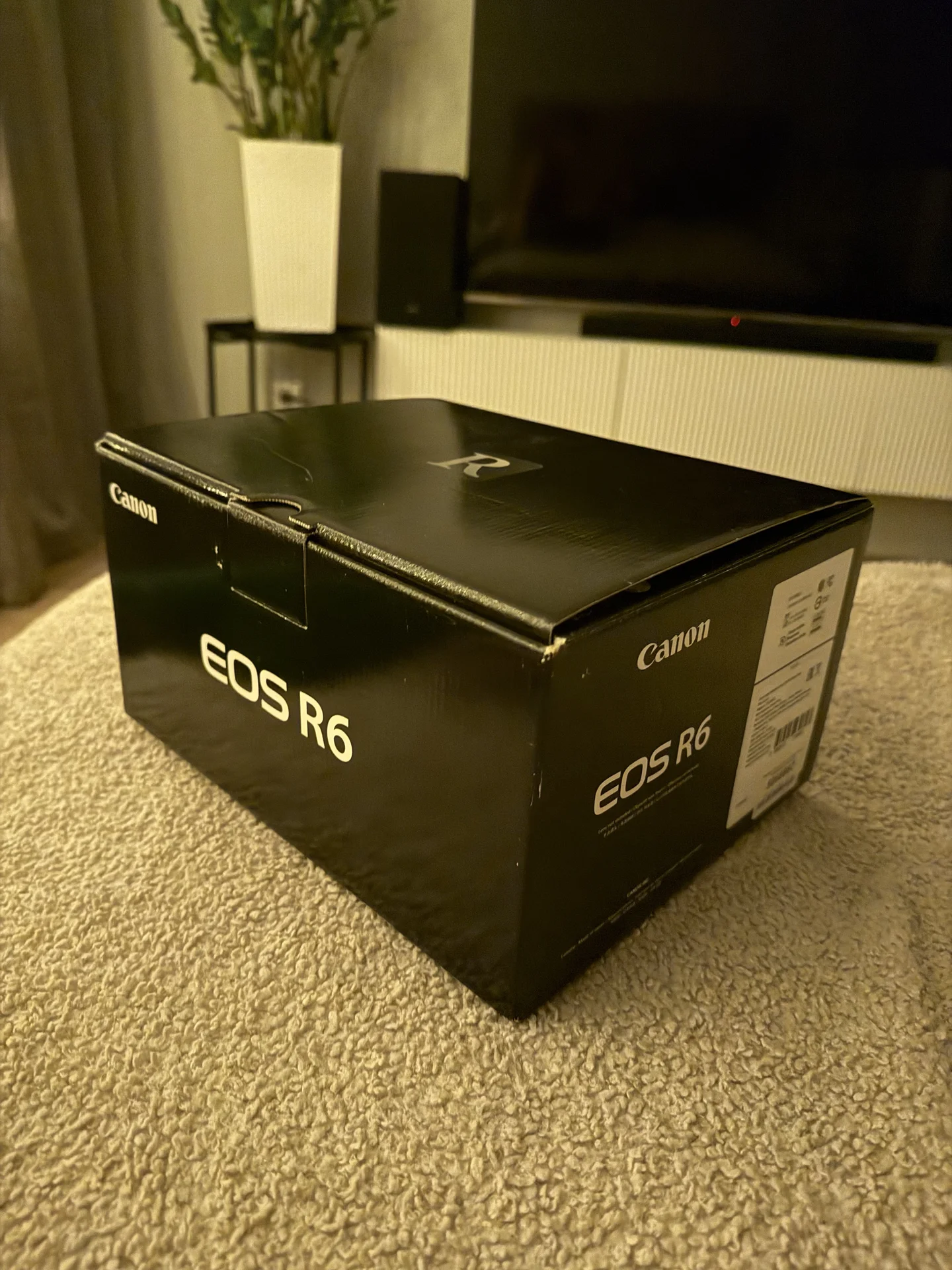 Фотоаппарат canon eos r6 - изображение 1