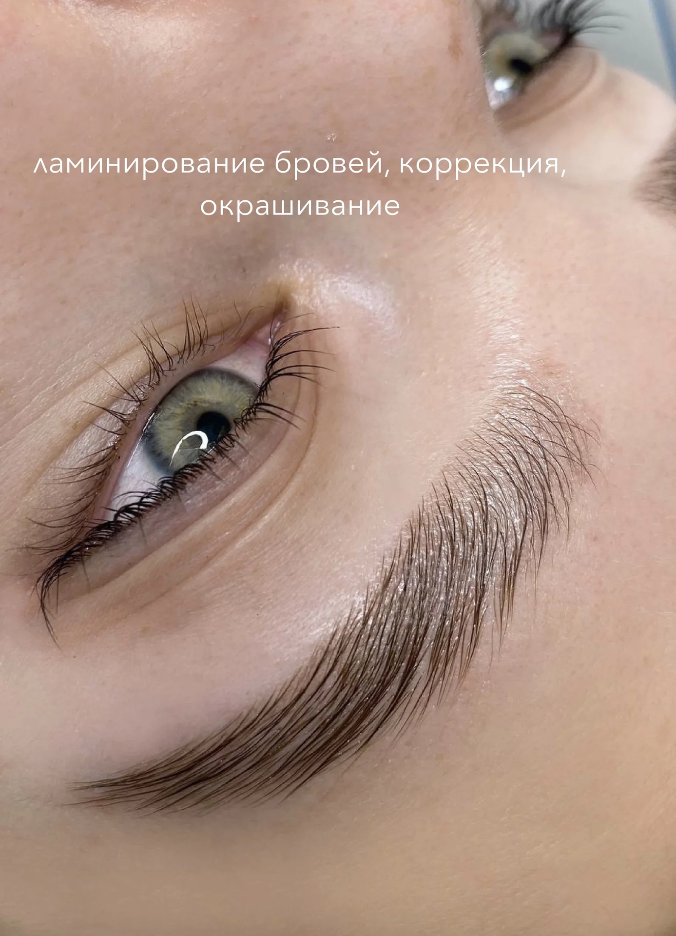 Окрашивание, коррекция,ламинирование бровей,ресниц - миниатюра 3