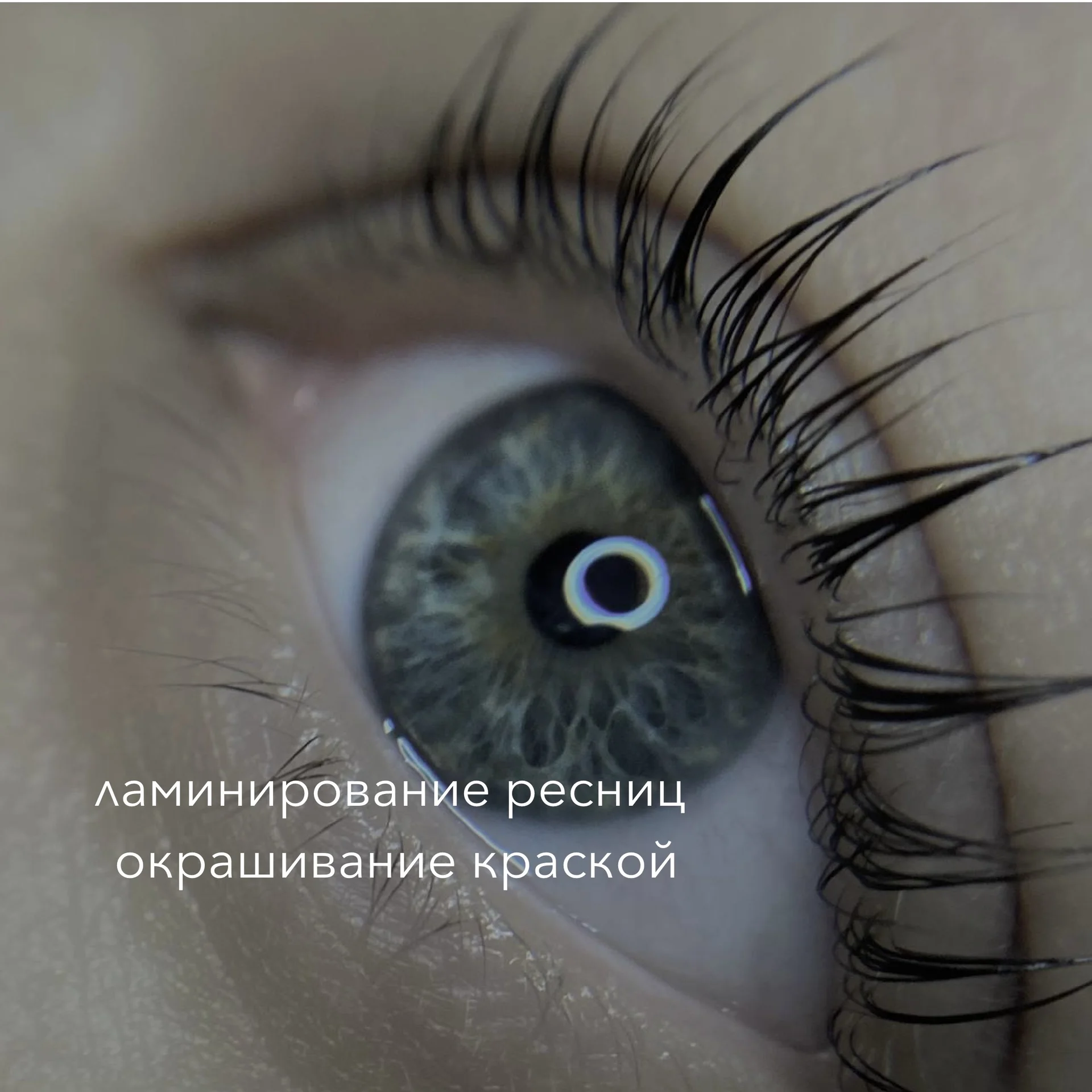 Окрашивание, коррекция,ламинирование бровей,ресниц - миниатюра 4