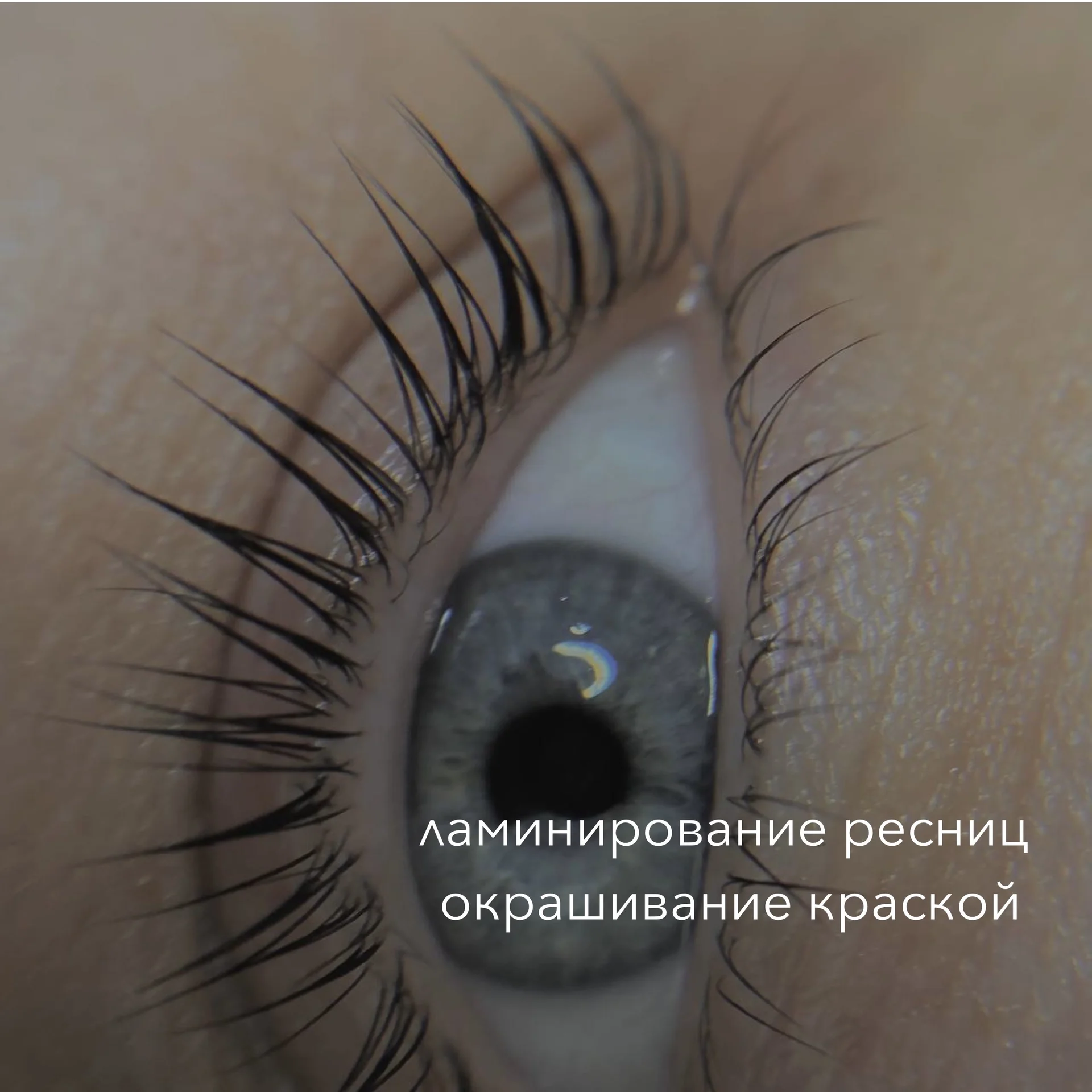 Окрашивание, коррекция,ламинирование бровей,ресниц - миниатюра 5