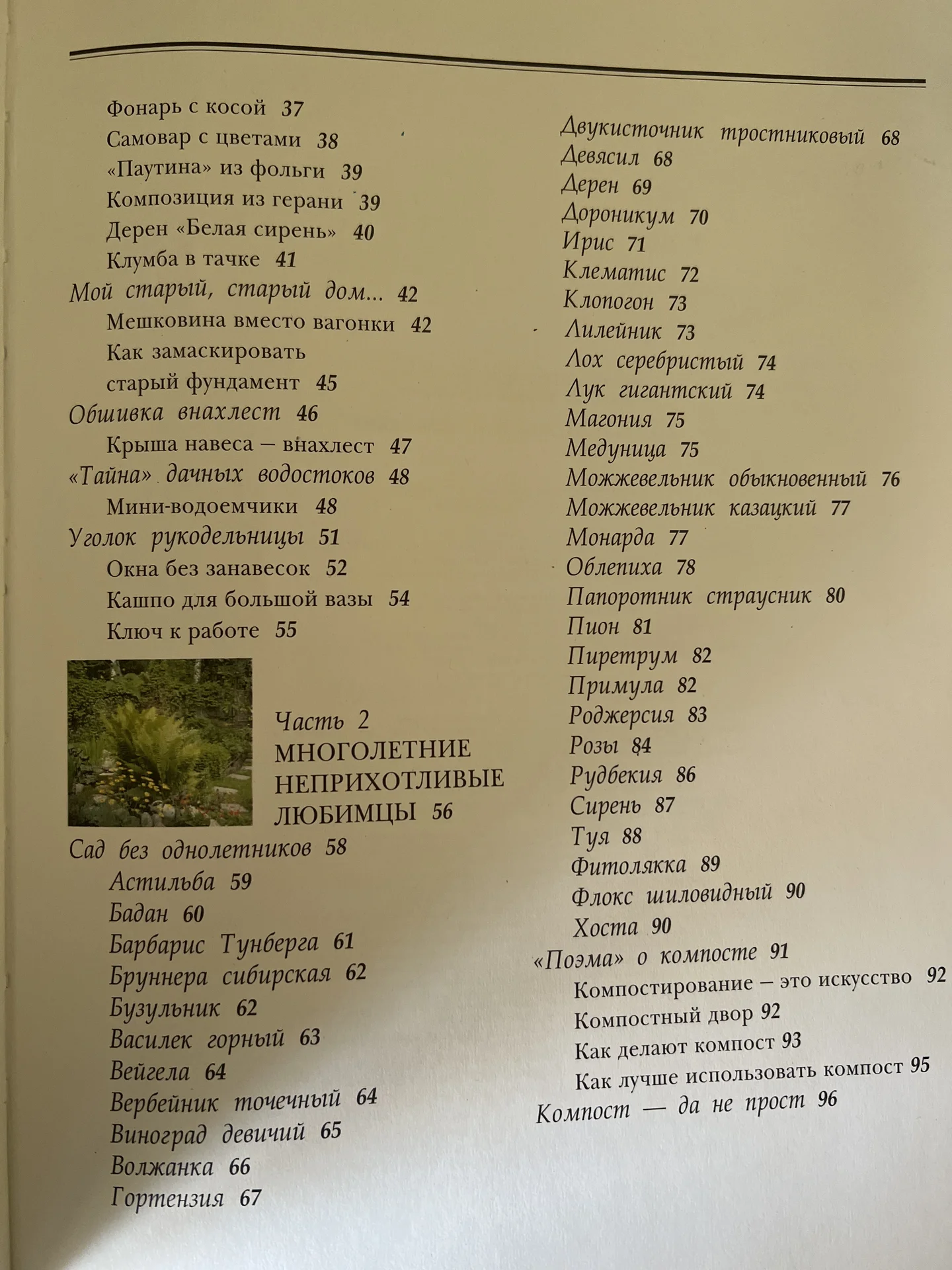 Идеи для сада уход за растениями - миниатюра 5