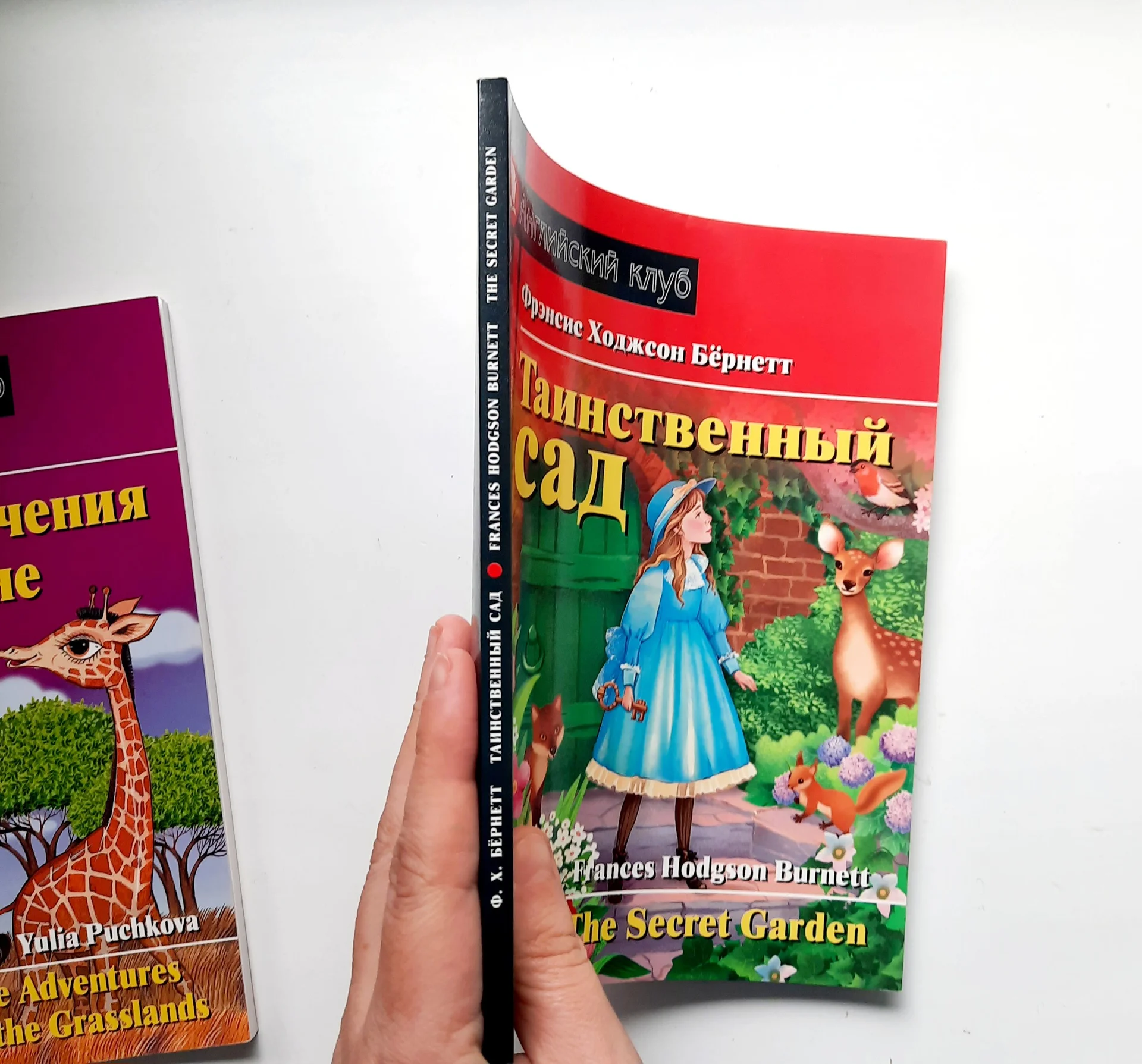 Книги на английском языке - миниатюра 7
